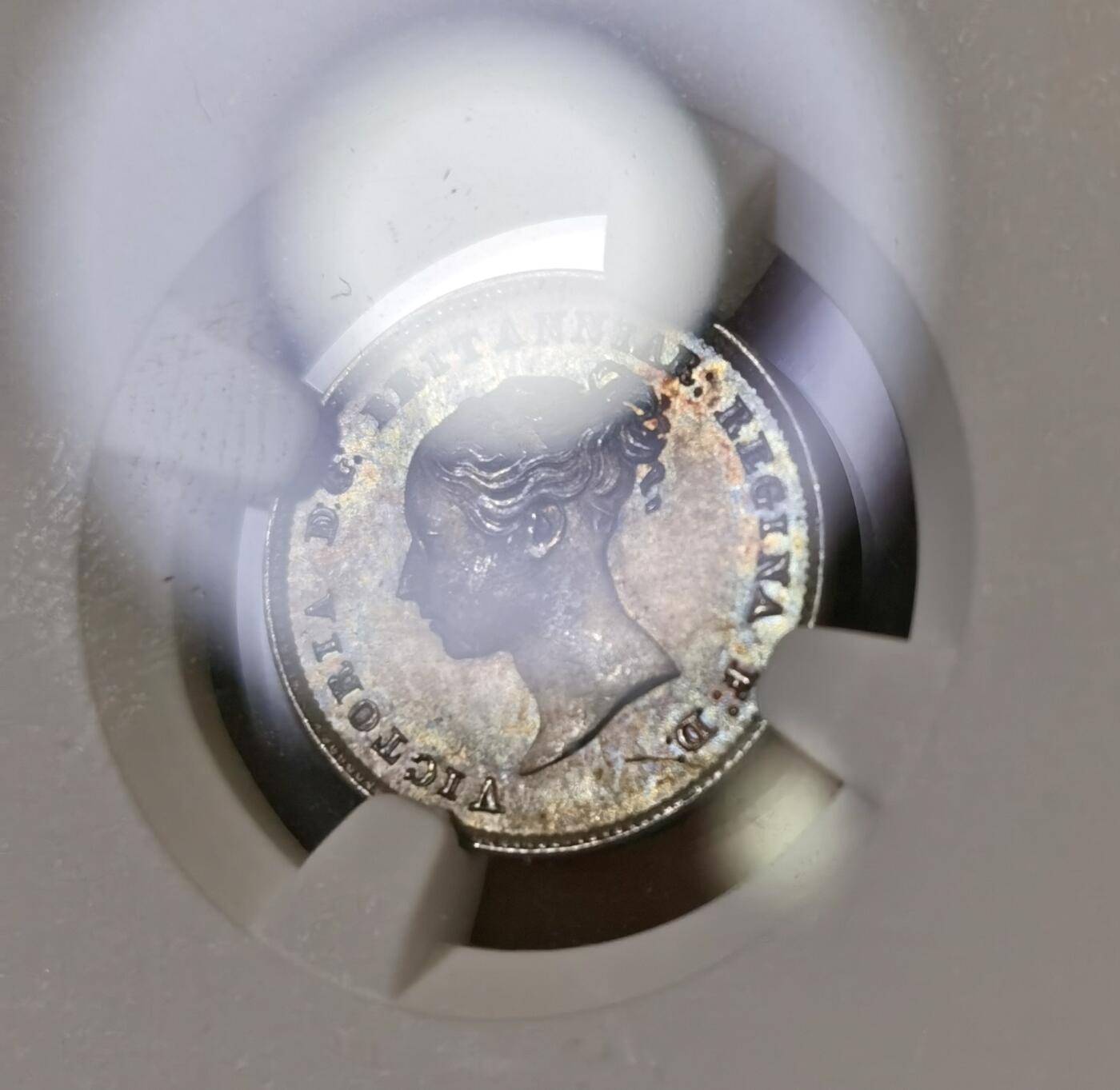 “甄选寰宇 · 臻藏岁华”新年精品场（直播拍卖）-甄臻铺-世界币章拍卖（第47期）送拍享返佣金等优惠多多