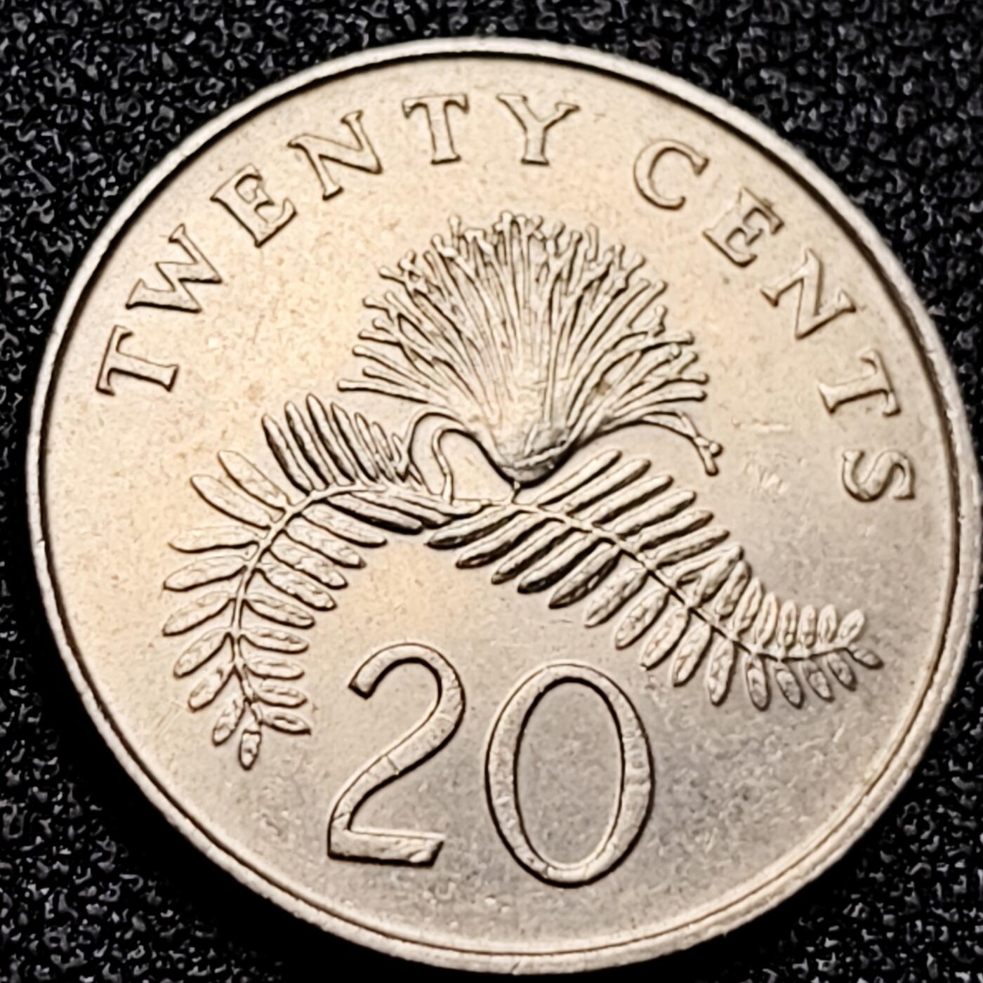 泉币菌-第167场- 精品福利场 。