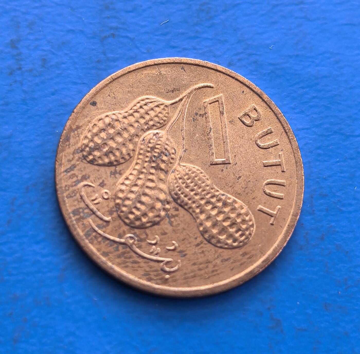 外国优质银币非洲美洲币，周六九点倒数截拍，满百包邮，持续收拍 冈比亚 特产花生1 布图币，正面印该国人物与国名，背面绘其特产花生，铜质币承载地域经济符号，兼具国家文化标识与时代收藏价值，小众特色鲜明。