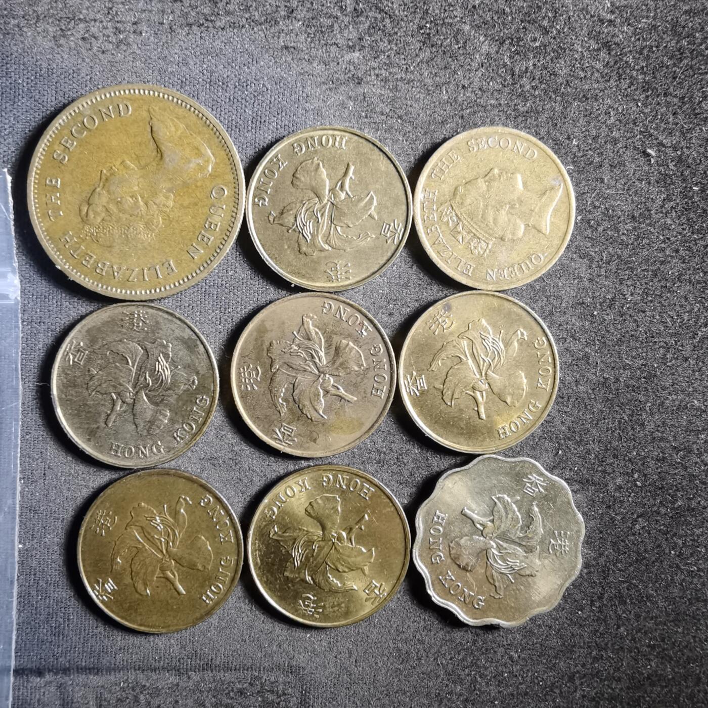 沼泽如烟--第955场 香港九枚