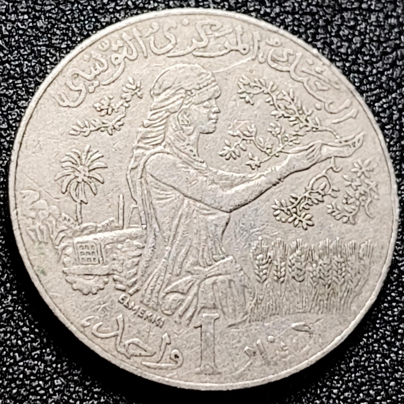 泉币菌-第167场- 精品福利场 。