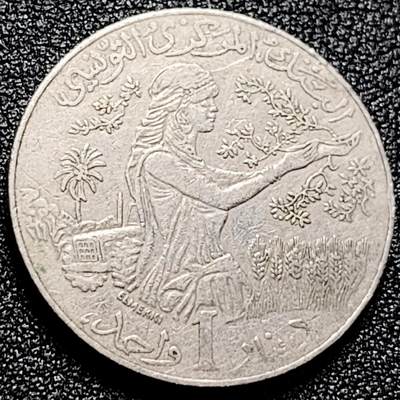 泉币菌-第167场- 精品福利场 - FAO粮农币民族少女 突尼斯 1第纳尔铜镍纪念币 28.毫米10g