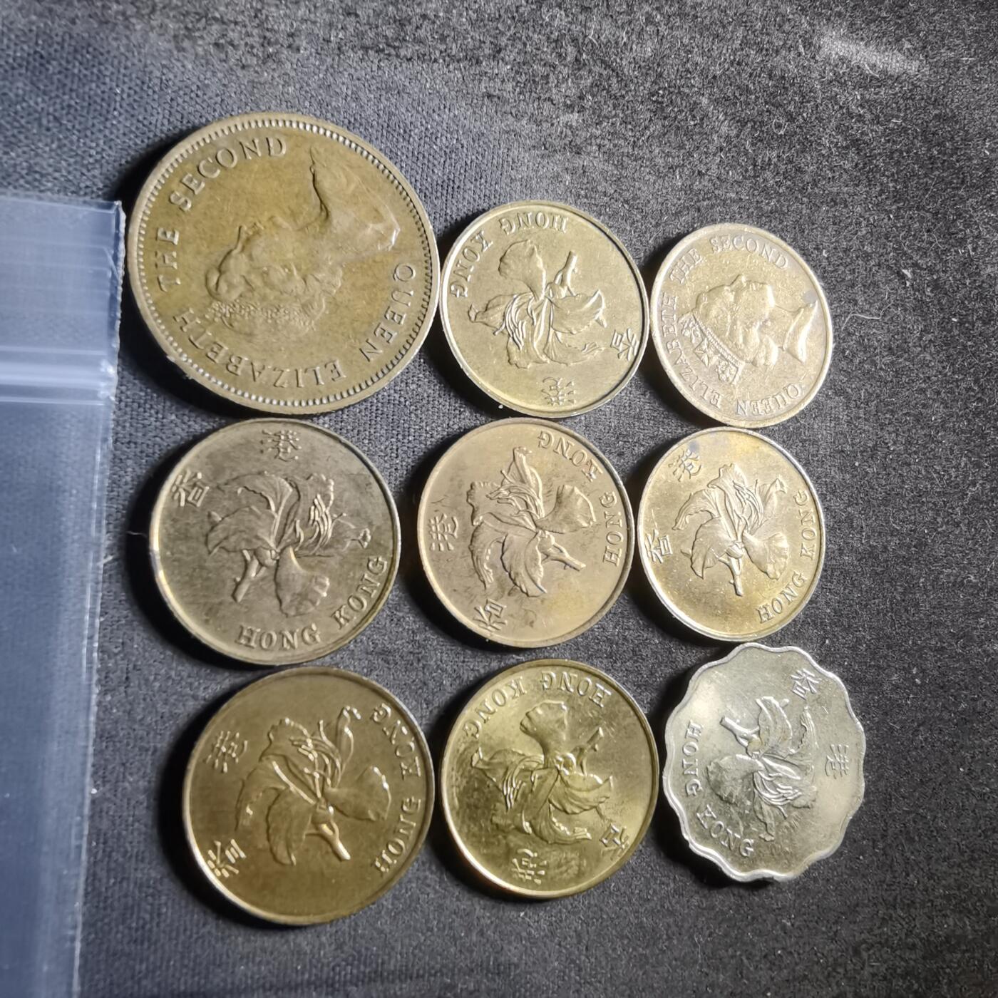 沼泽如烟--第955场 香港九枚