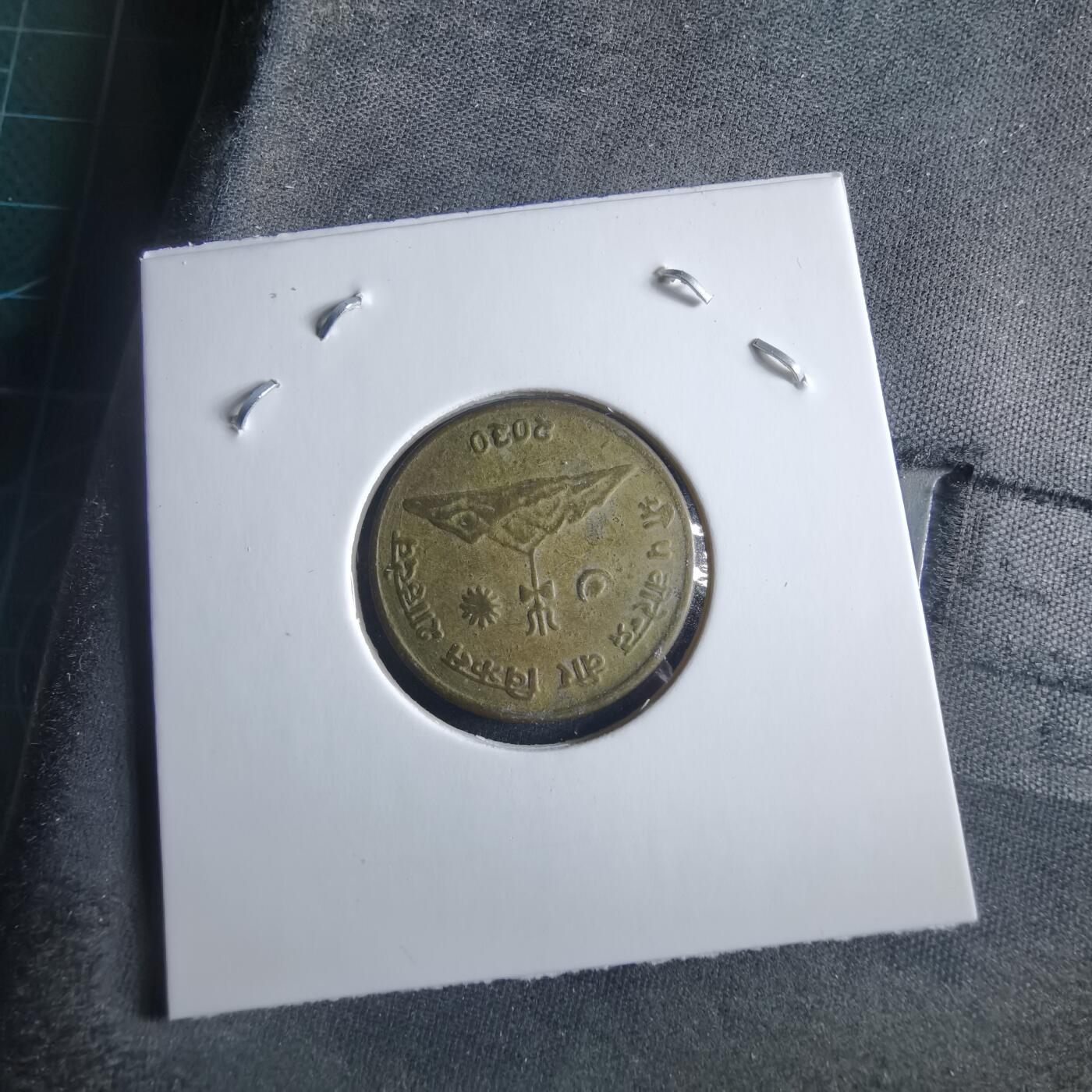 沼泽如烟--第955场