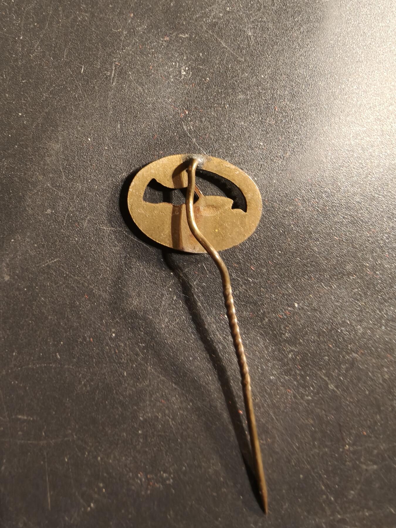 老王徽章第175期 德国巴伐利亚州红十字会水上救援队针插