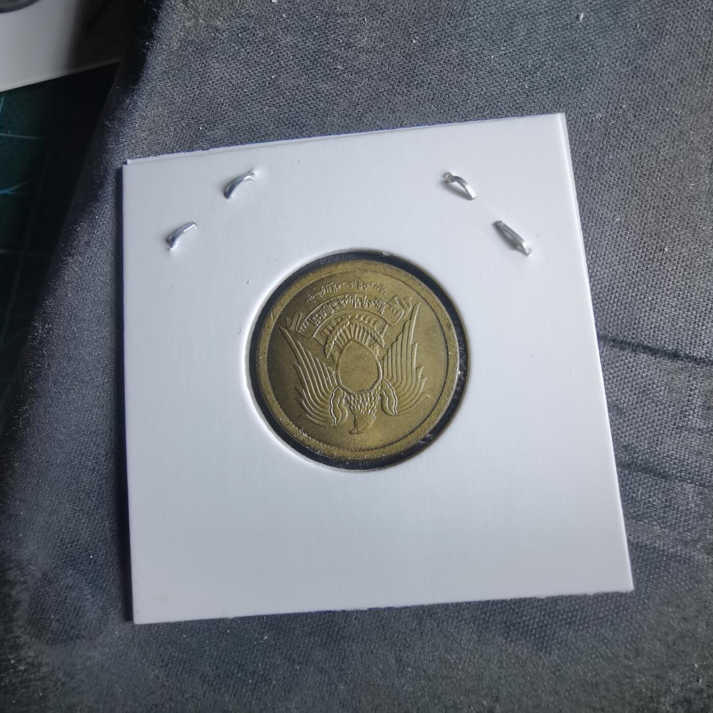 沼泽如烟--第955场