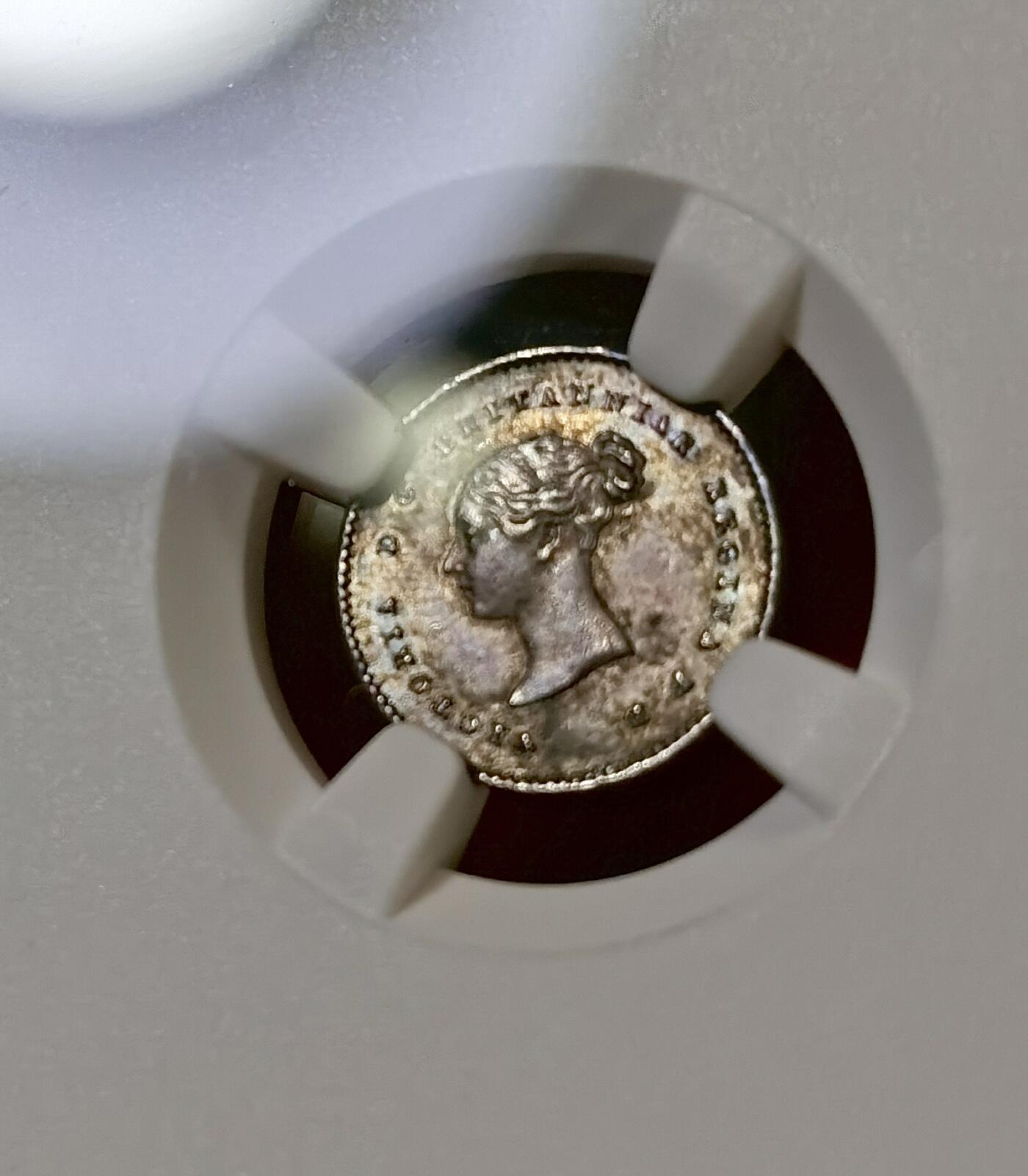 “甄选寰宇 · 臻藏岁华”新年精品场（直播拍卖）-甄臻铺-世界币章拍卖（第47期）送拍享返佣金等优惠多多