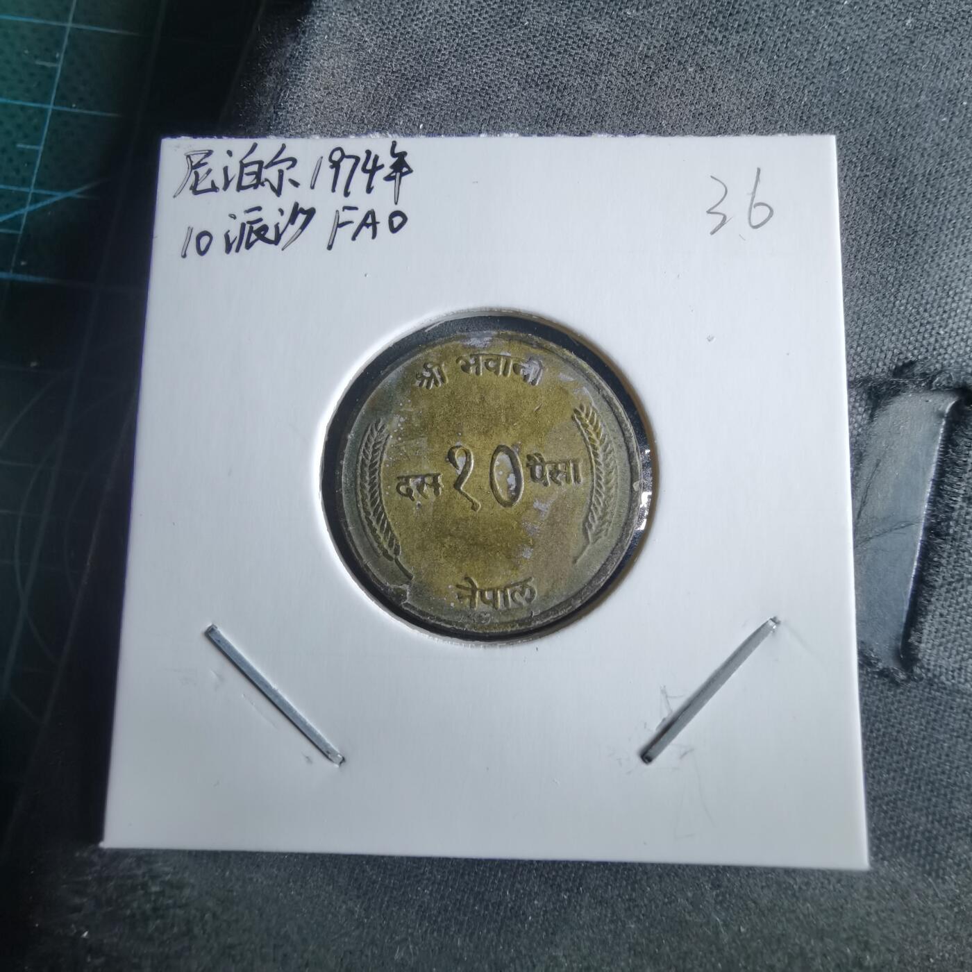 沼泽如烟--第955场