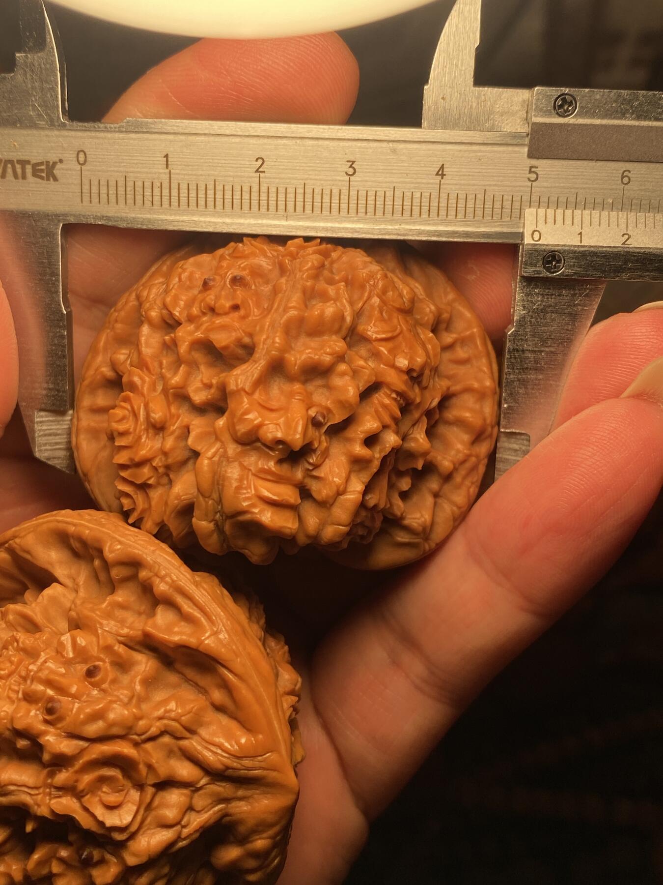 苏工名家王红秋个人作品展示 福利苏工核雕，纯手工核桃雕刻十八罗汉尊者一对个性十足，四面满工，等待有缘人，市场无同款，尺寸5。05喜欢的来