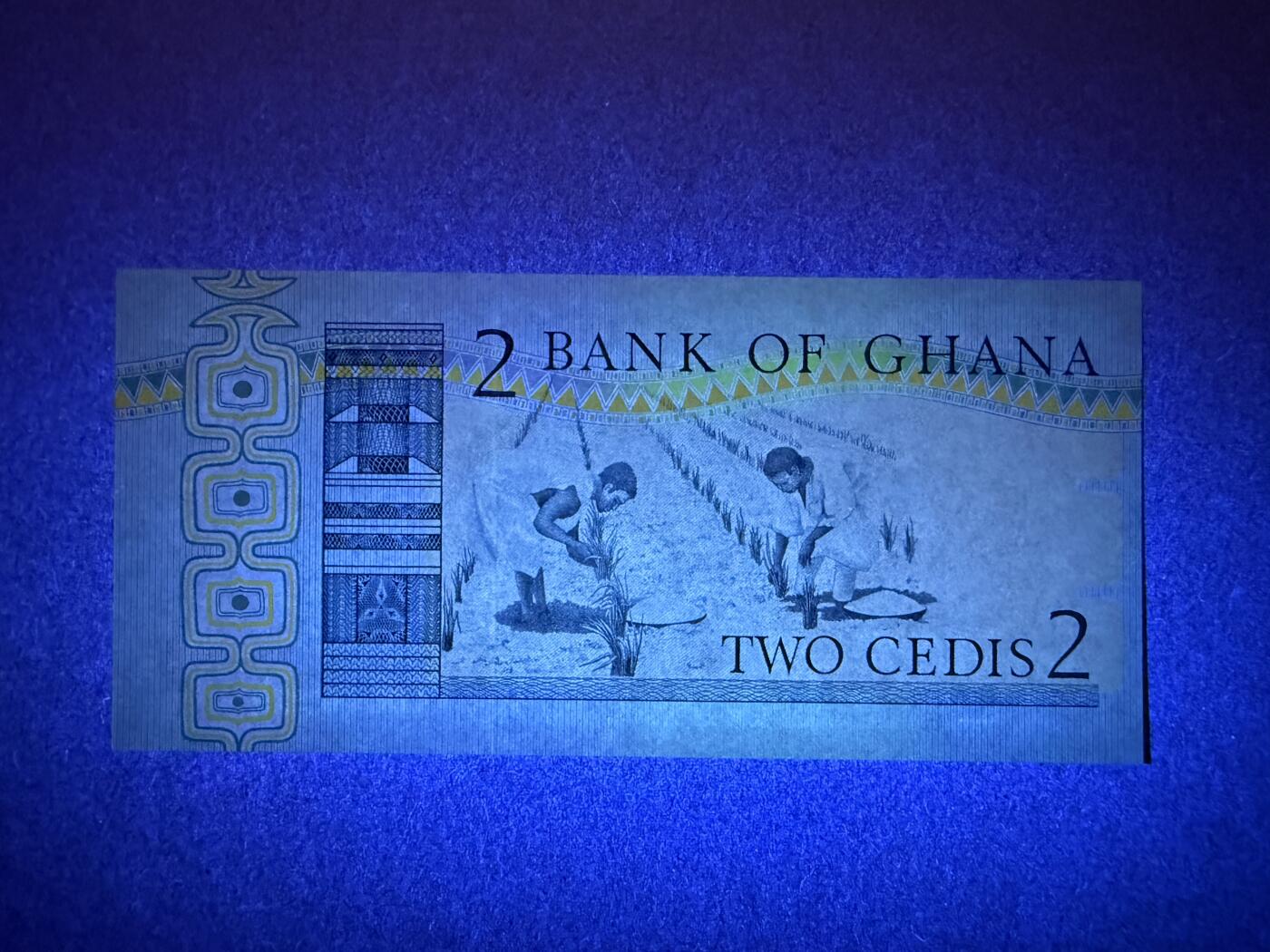 《艾美收藏》第228期-1.11周日外币精品 加纳2塞地 UNC 1979年 AA冠无3547尾8