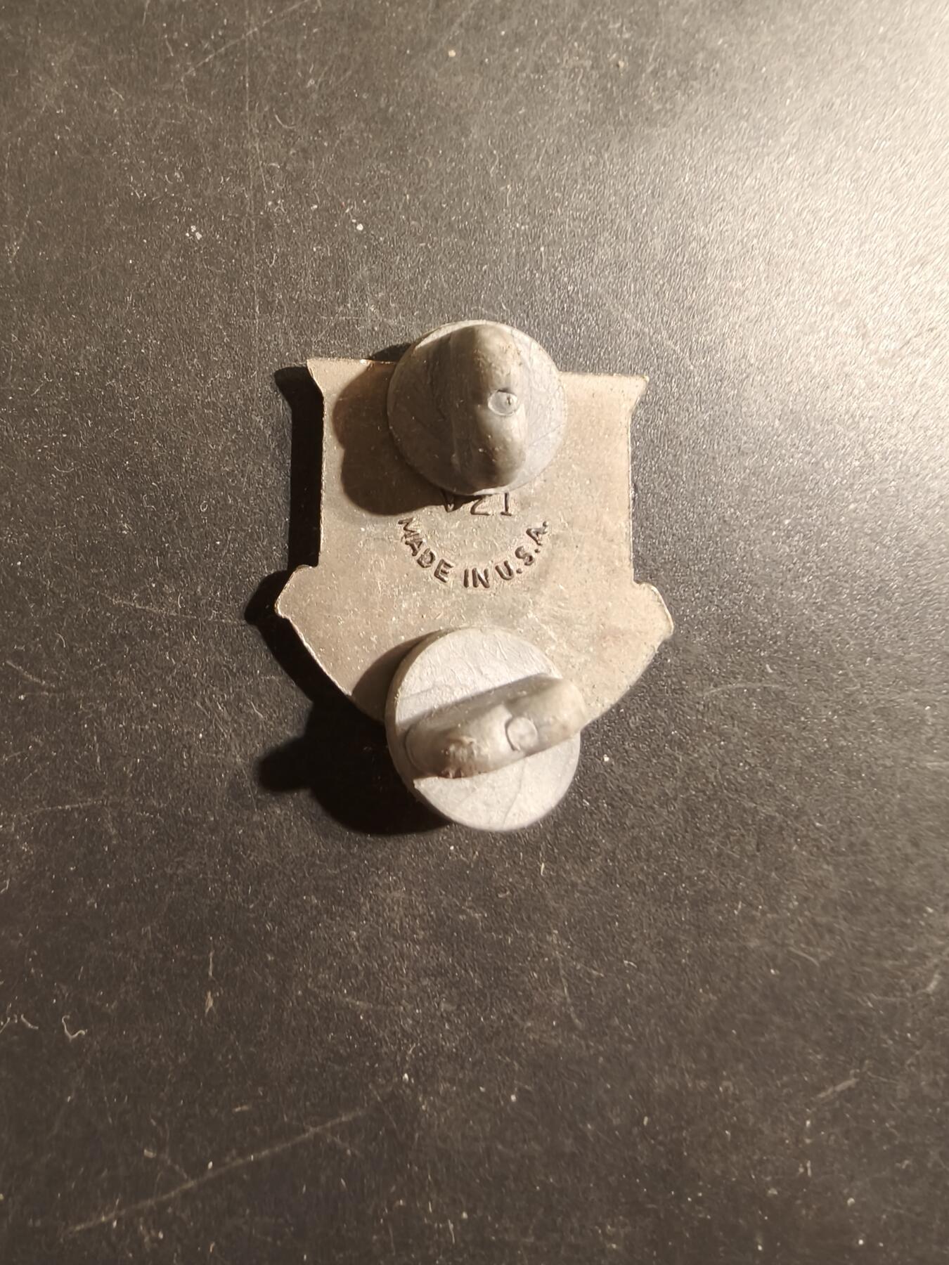 老王徽章第175期 美国陆军军医团证章