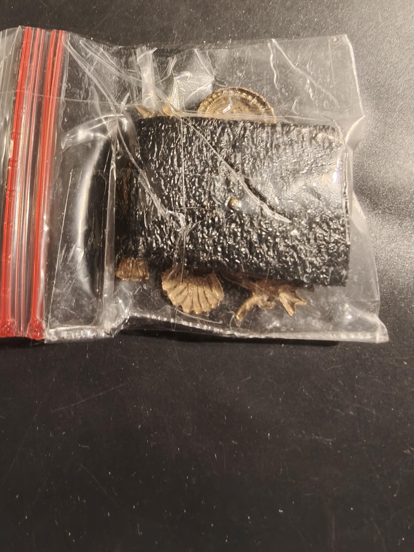 老王徽章第175期 美国陆军军官大檐帽帽徽