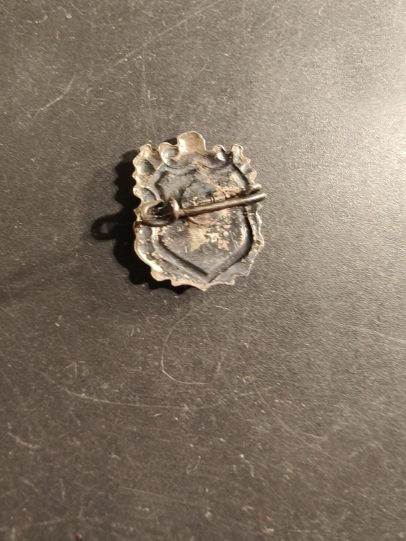 老王徽章第175期