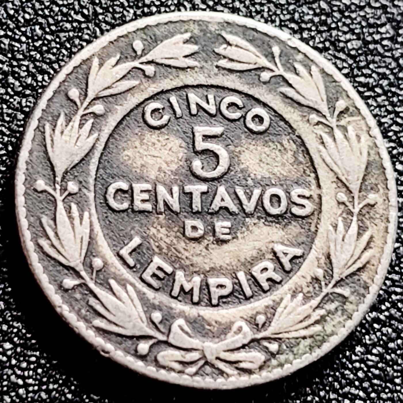 泉币菌-第167场- 精品福利场 。