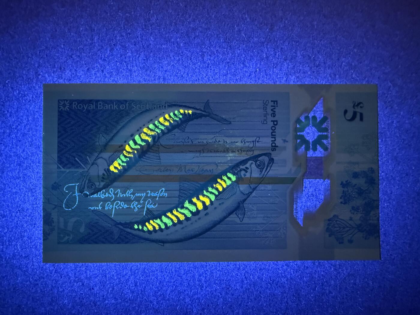 《艾美收藏》第228期-1.11周日外币精品 苏格兰5镑 UNC 2016年 皇家银行 苏格兰诗人薛帕德 AA冠无347