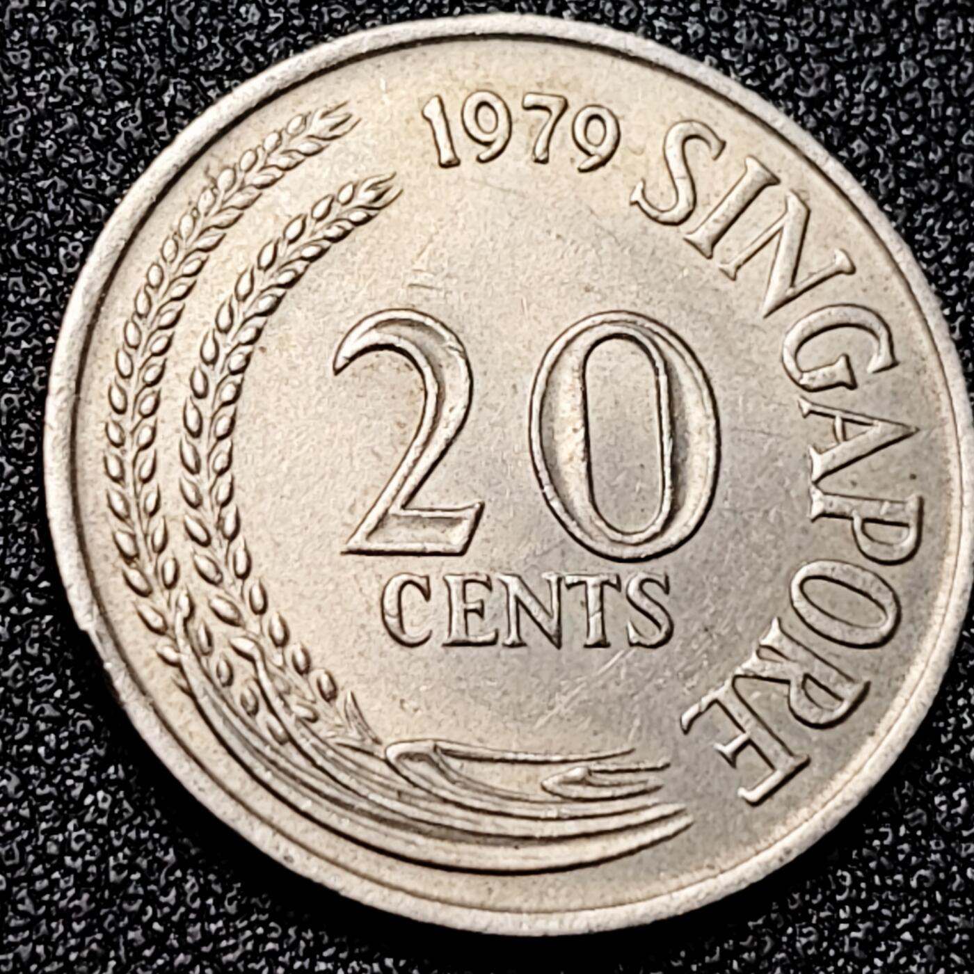 泉币菌-第167场- 精品福利场 。