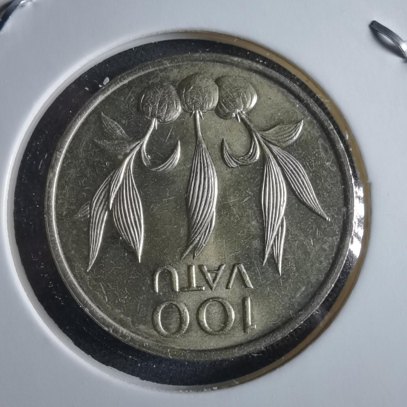 沼泽如烟--第955场