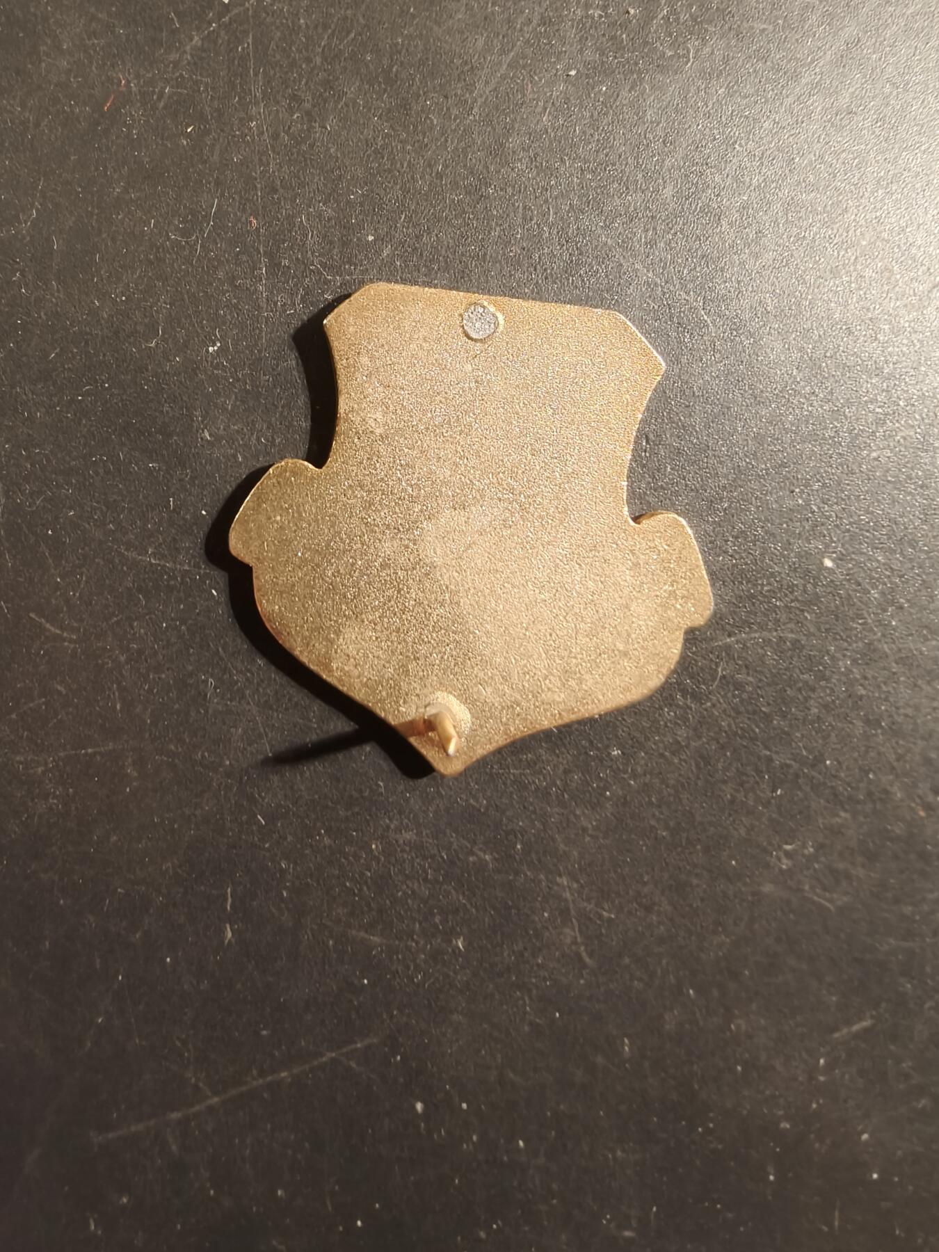 老王徽章第175期