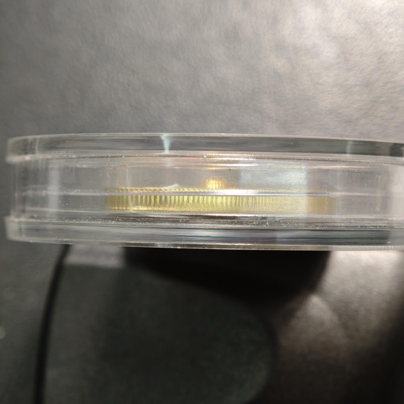 【德藏】世界币章拍卖第161期