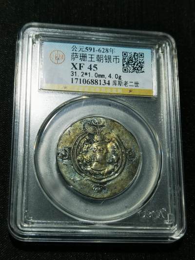 天下钱庄专场欢迎参拍 - 萨珊王朝银币