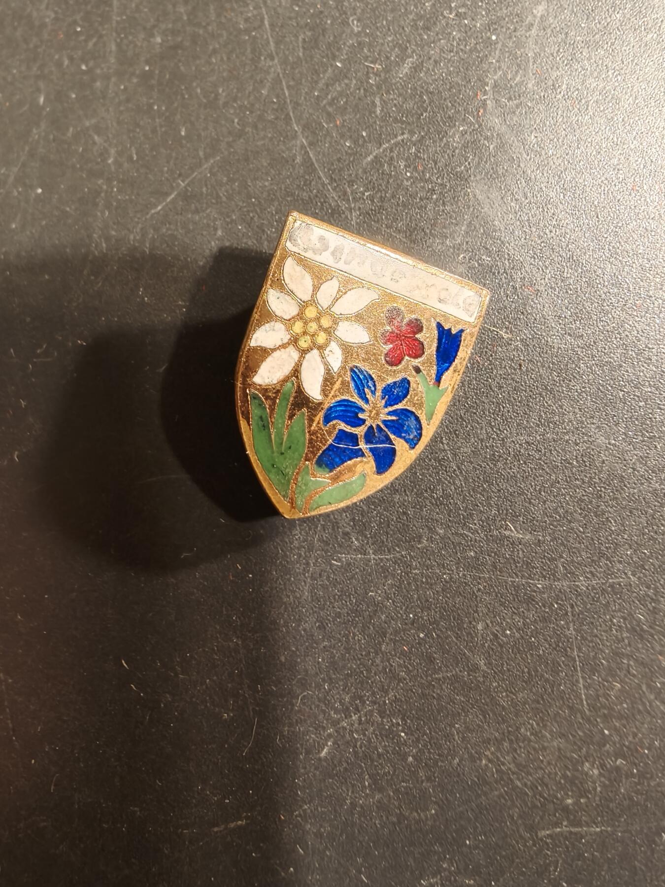 老王徽章第175期 德国山地兵雪绒花风格证章