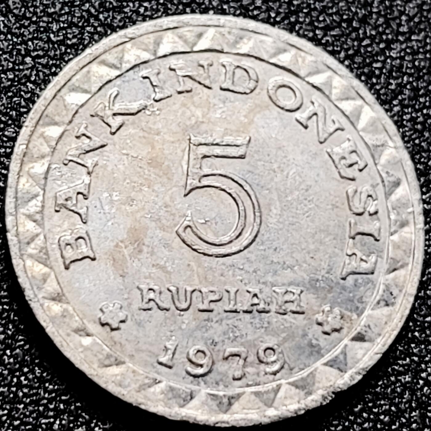 泉币菌-第167场- 精品福利场 。