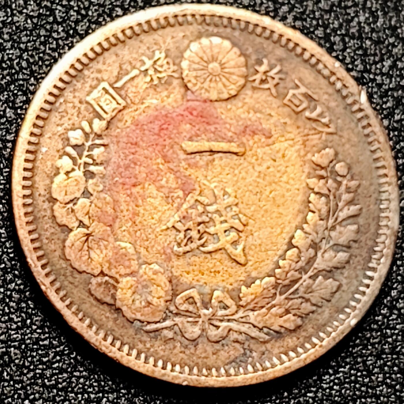 泉币菌-第167场- 精品福利场 。