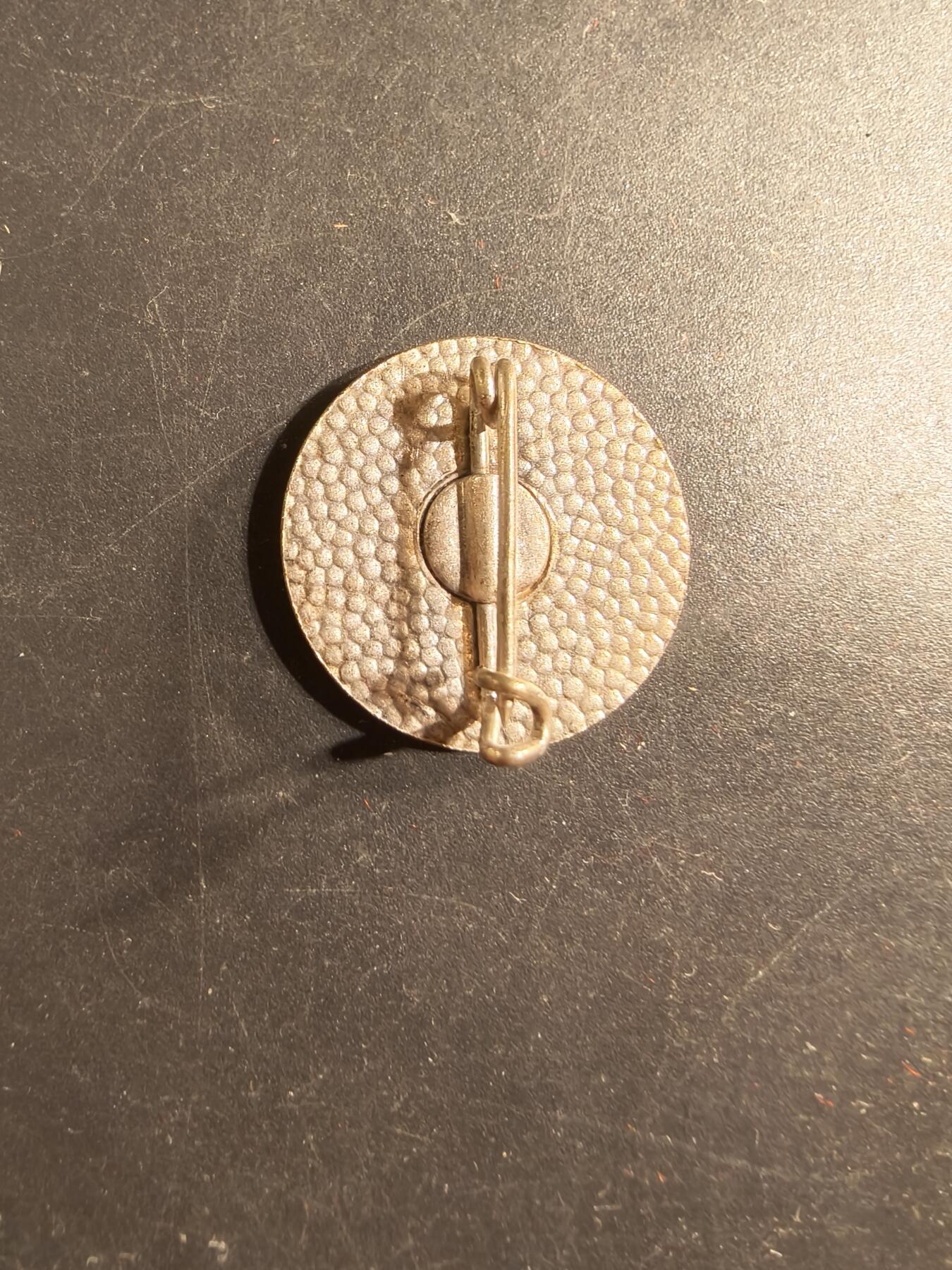 老王徽章第175期 德国南部登山协会证章