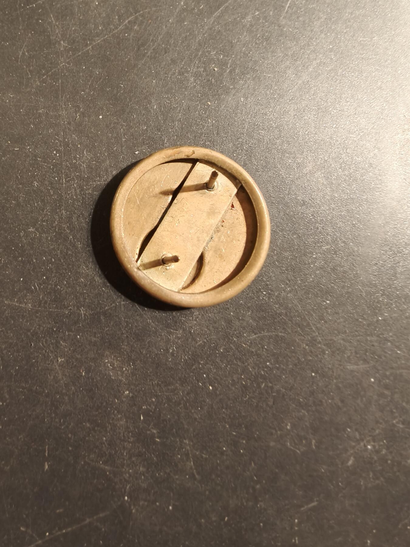 老王徽章第175期