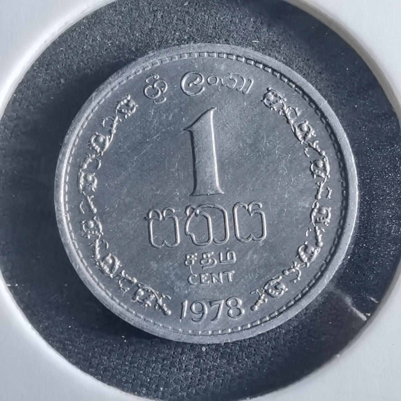 沼泽如烟--第955场