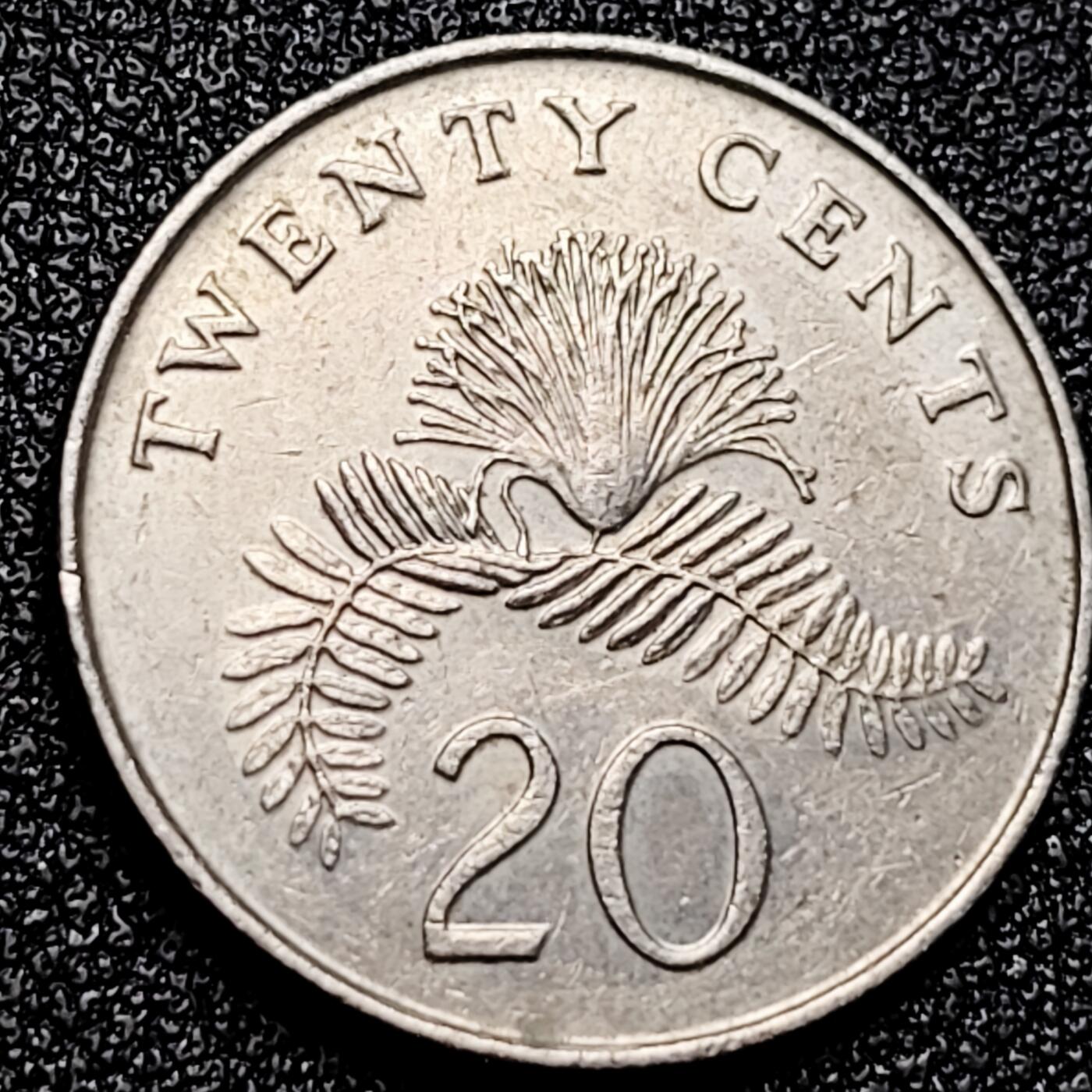 泉币菌-第167场- 精品福利场 。