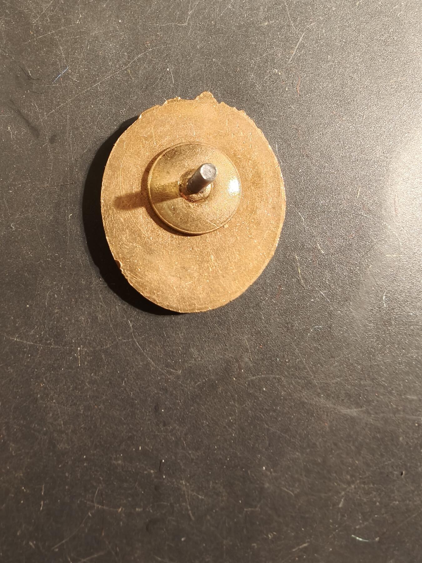 老王徽章第175期 苏联莫斯科内务部交通警察训练中心证章