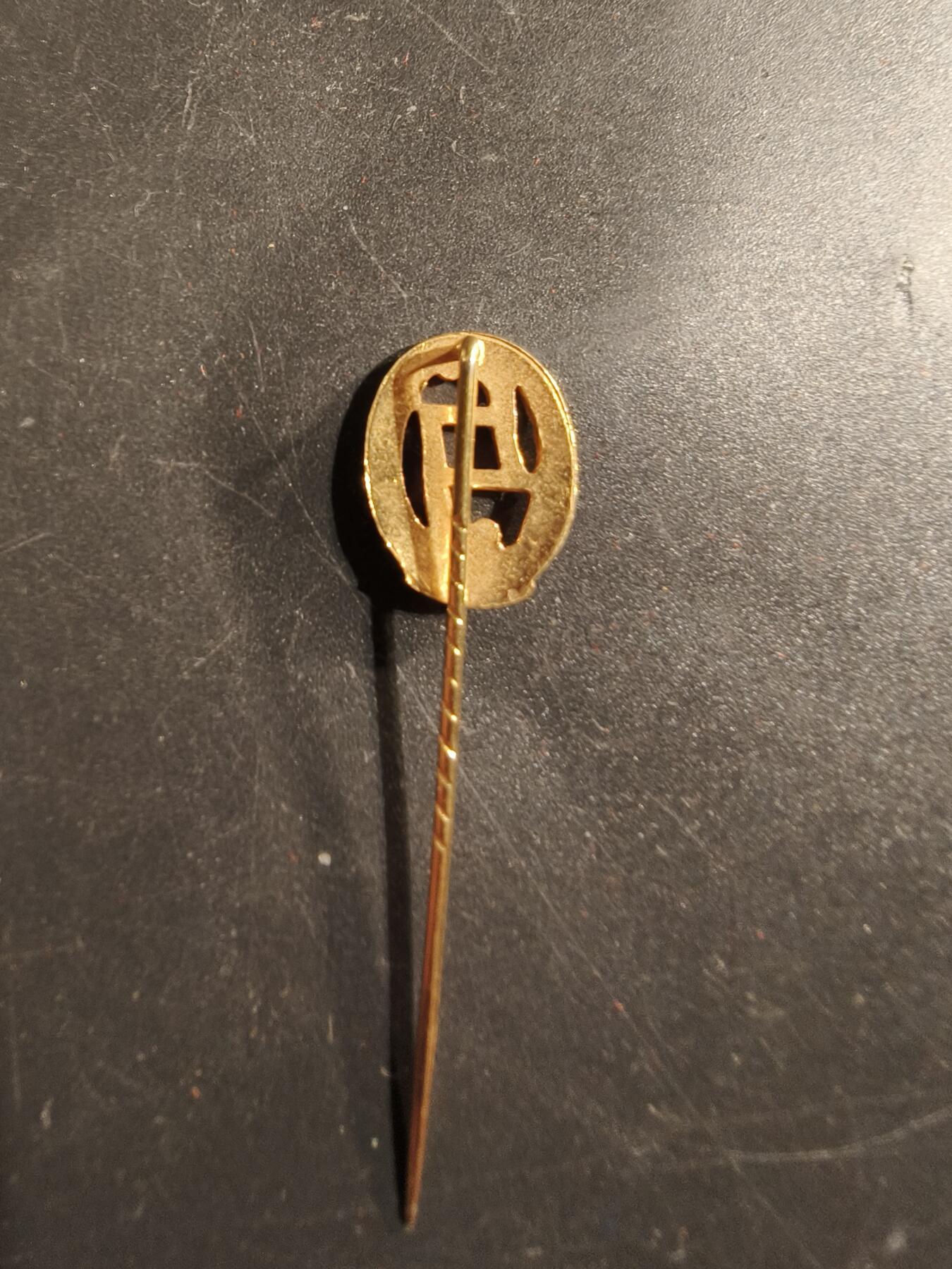 老王徽章第175期 卢森堡男子中学针插