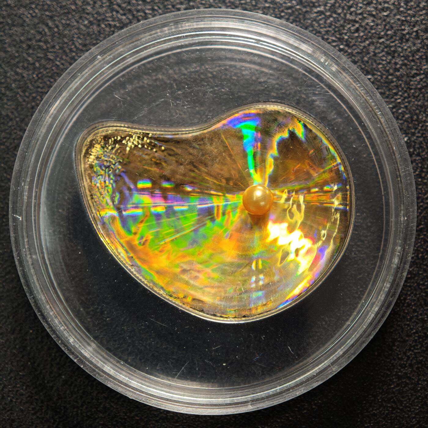 【德藏】世界币章拍卖第161期