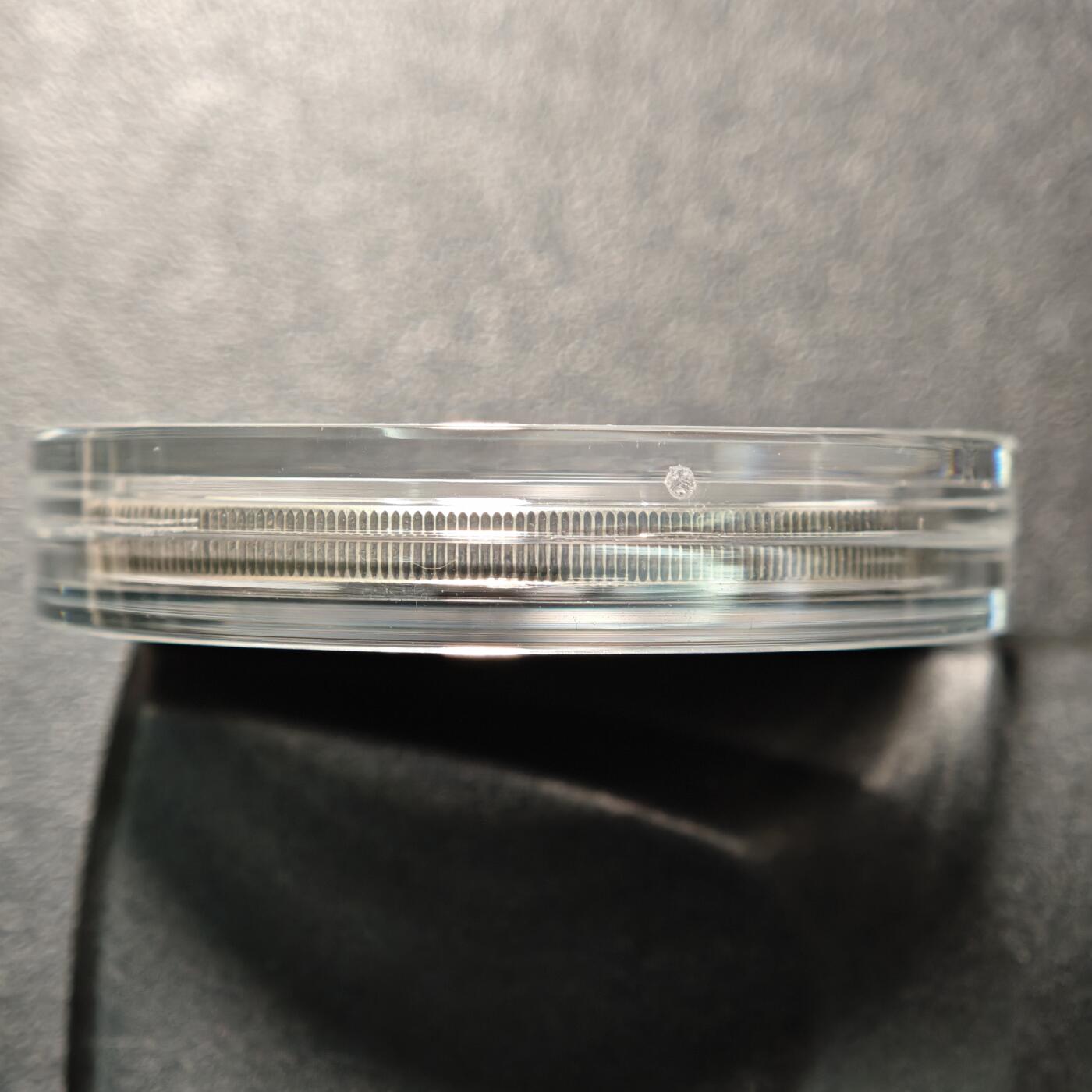 【德藏】世界币章拍卖第161期