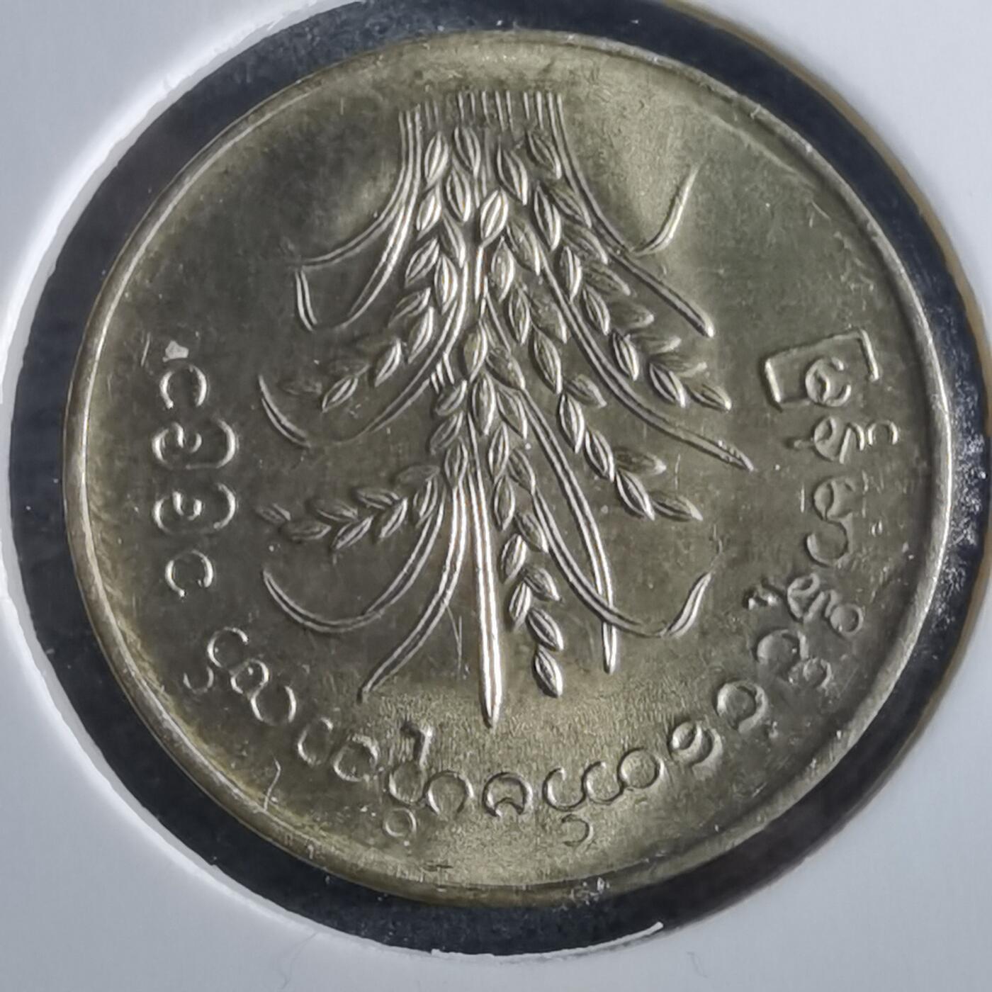 沼泽如烟--第955场 缅甸