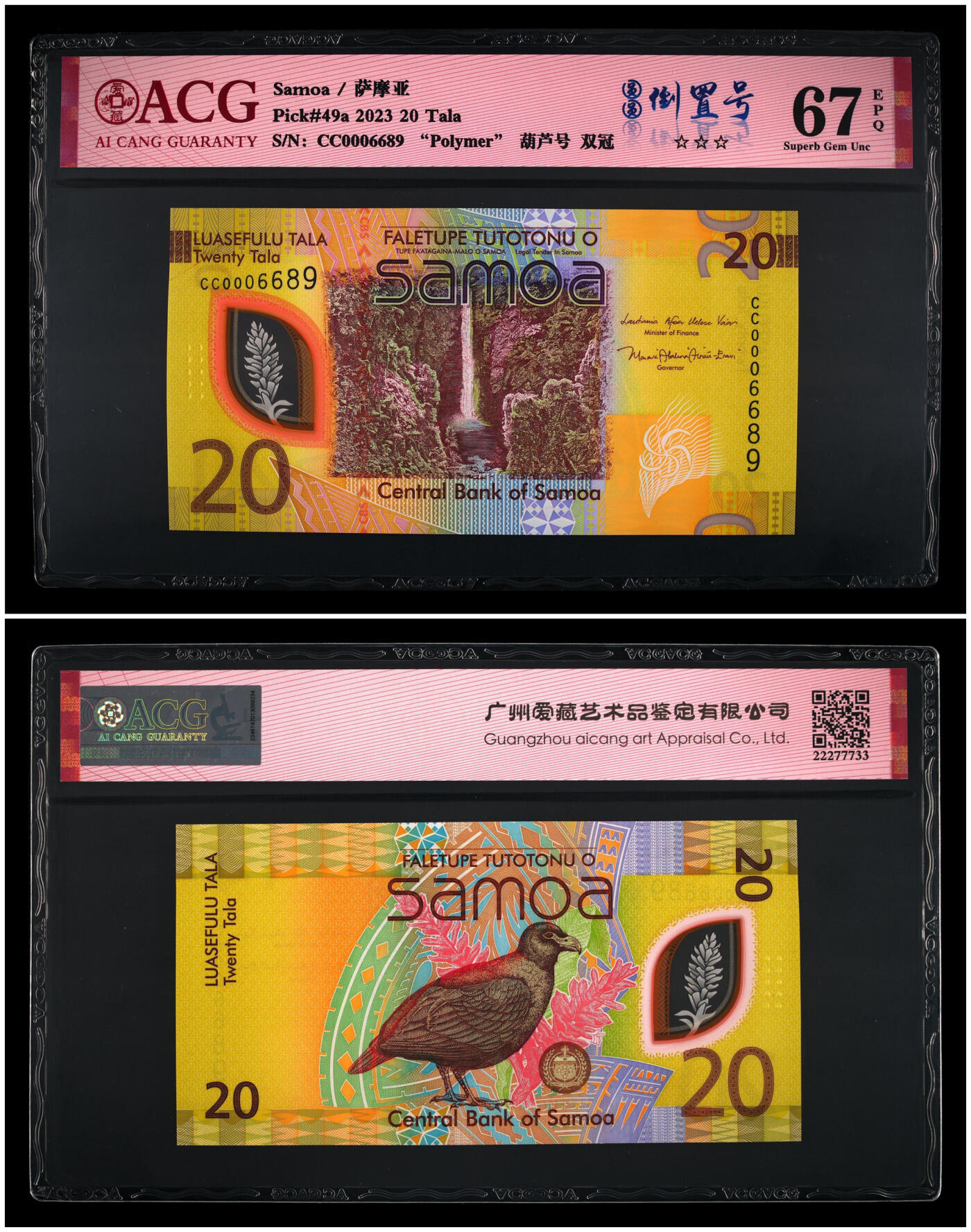 《艾美收藏》第228期-1.11周日外币精品 (3张全同倒置号6689)萨摩亚23年首发AA/BB/CC冠5/10/20塔拉爱藏评级67分同分，20塔拉漂亮的齿嘴鸠