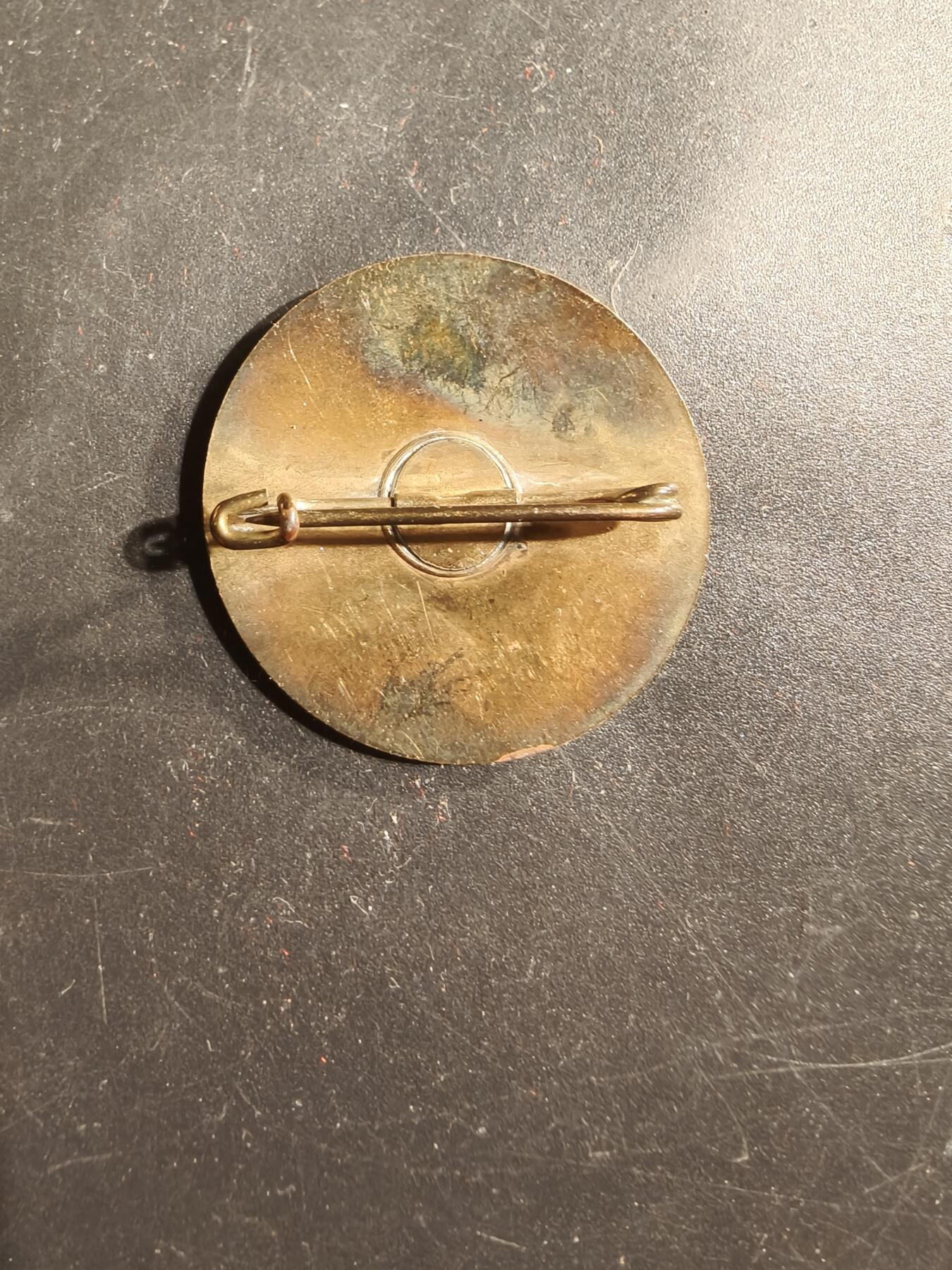 老王徽章第175期 德国联邦议院证章