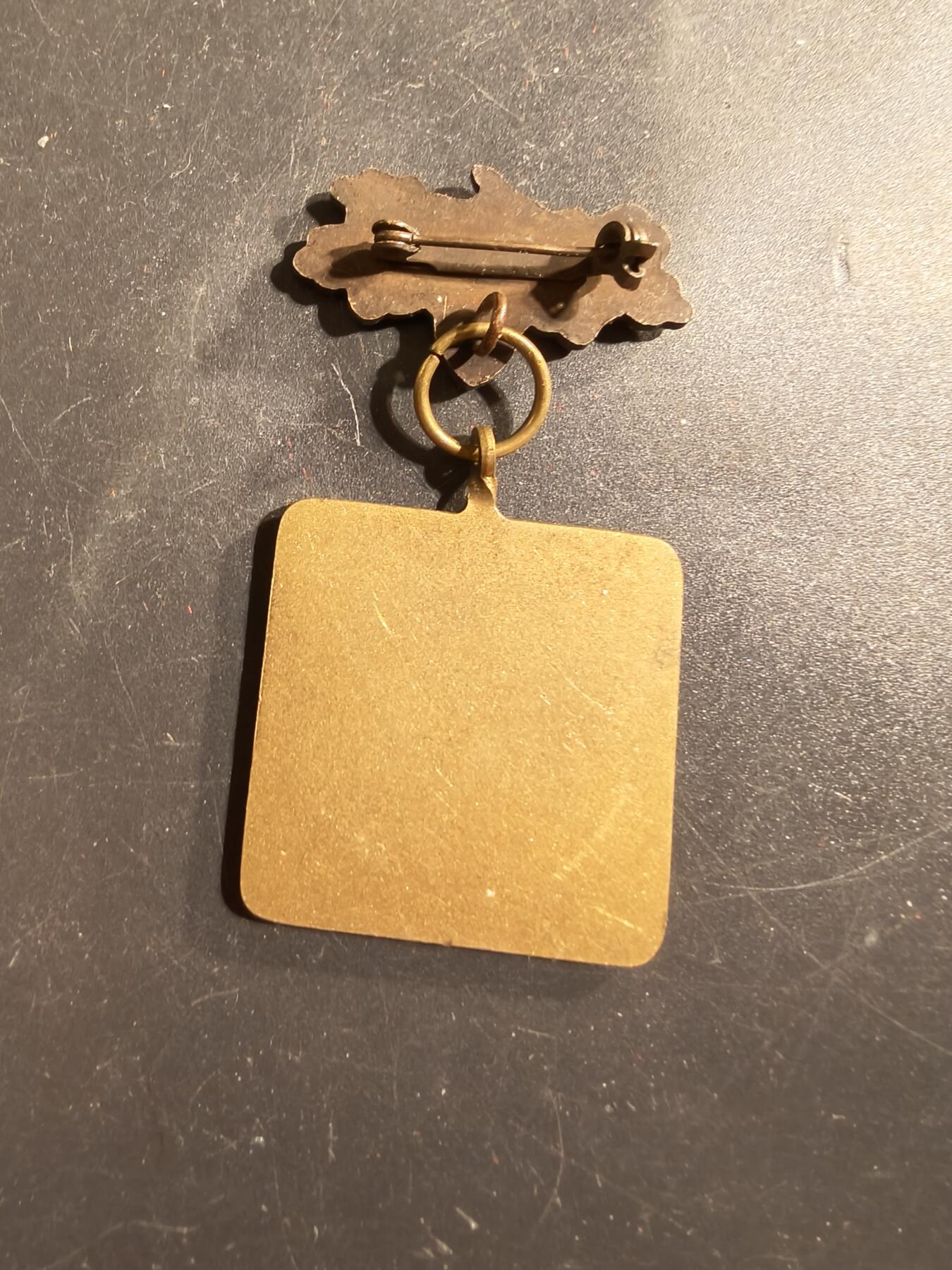 老王徽章第175期