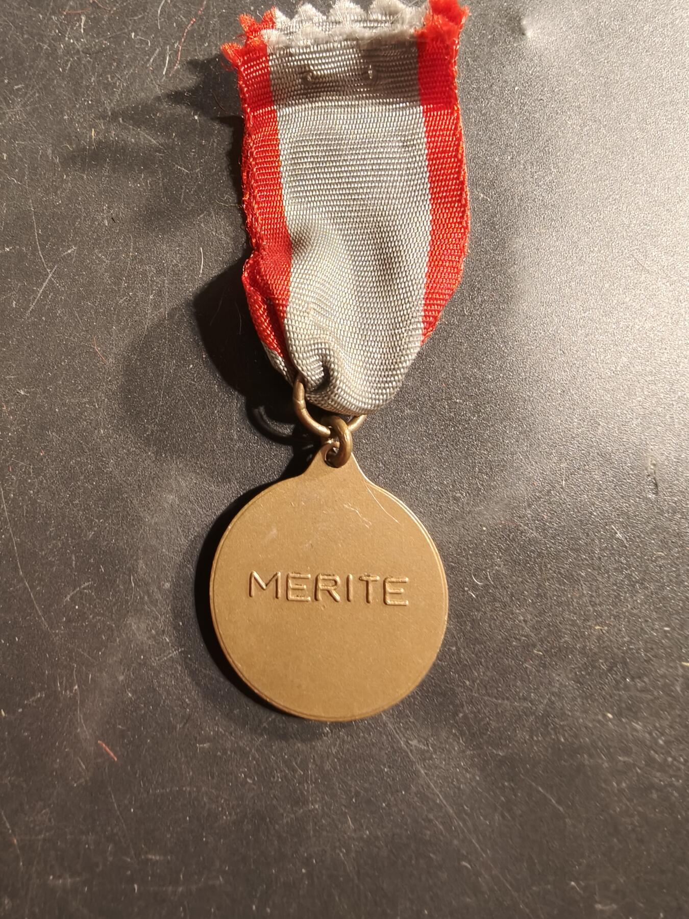 老王徽章第175期 比利时沙勒罗瓦市纪念章