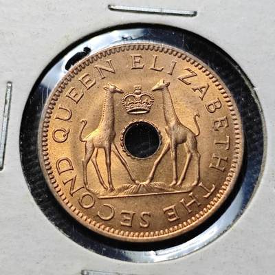 KK钱币收藏小铺  第399期  百期特拍（四拍之三）2月预留时间 周末发货 -  1964罗得西亚半便士铜币 好品