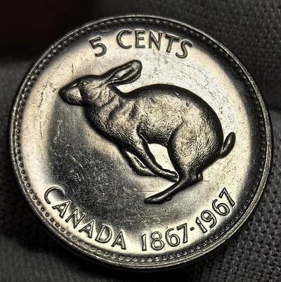 外国优质银币非洲美洲币，周六九点倒数截拍，满百包邮，持续收拍 - 加拿大1967 年建国百年 5 分纪念币，正面是伊丽莎白二世像，背面绘野兔图案，纪念加拿大联邦成立 100 周年，币面设计具本土特色，兼具历史纪念与收藏价值。