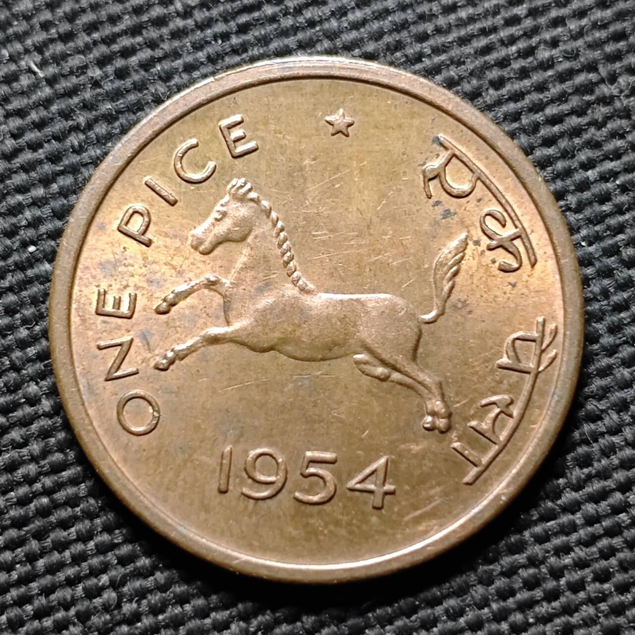 KK钱币收藏小铺  第399期  百期特拍（四拍之三）2月预留时间 周末发货  1954印度1派沙铜币 好品小马!