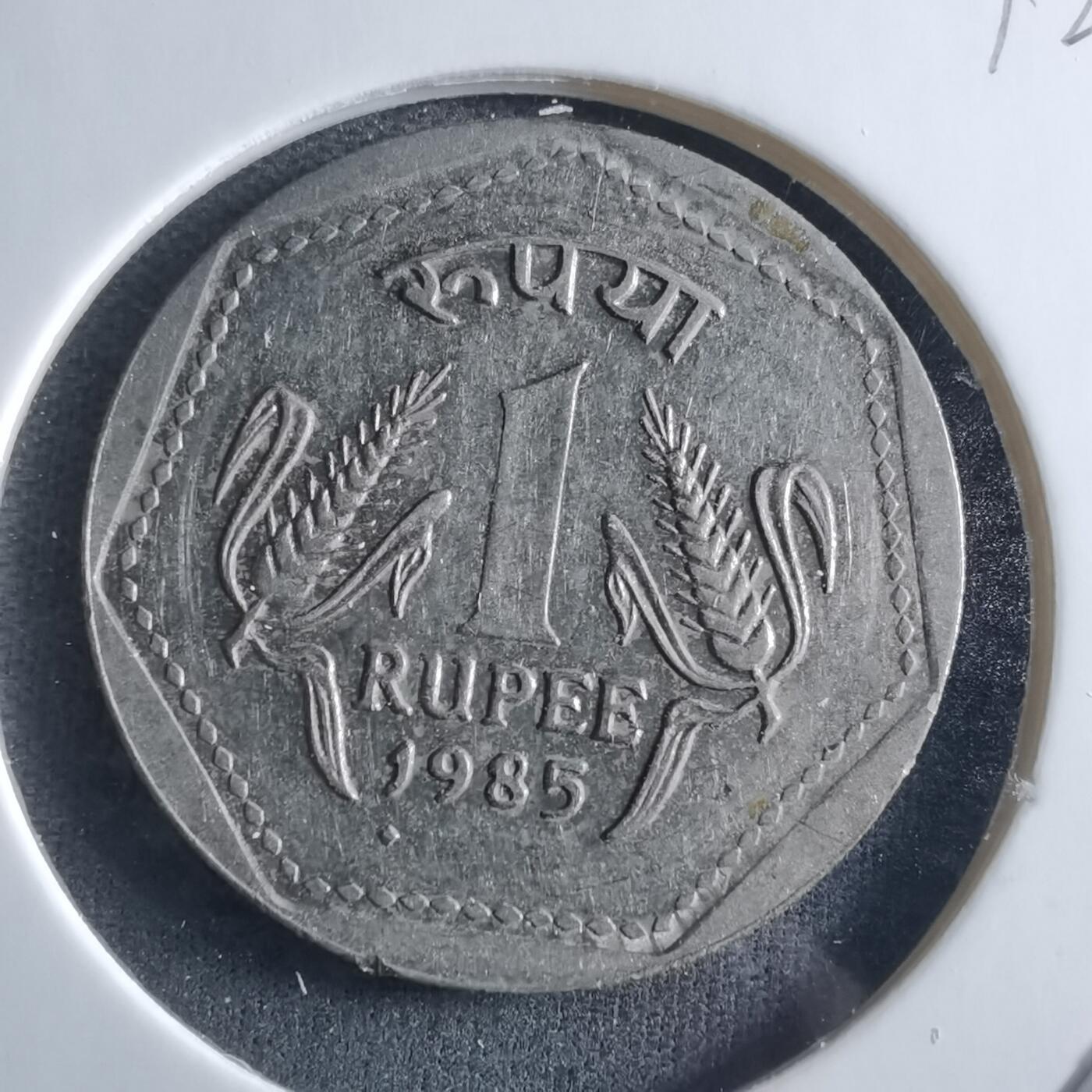 沼泽如烟--第955场