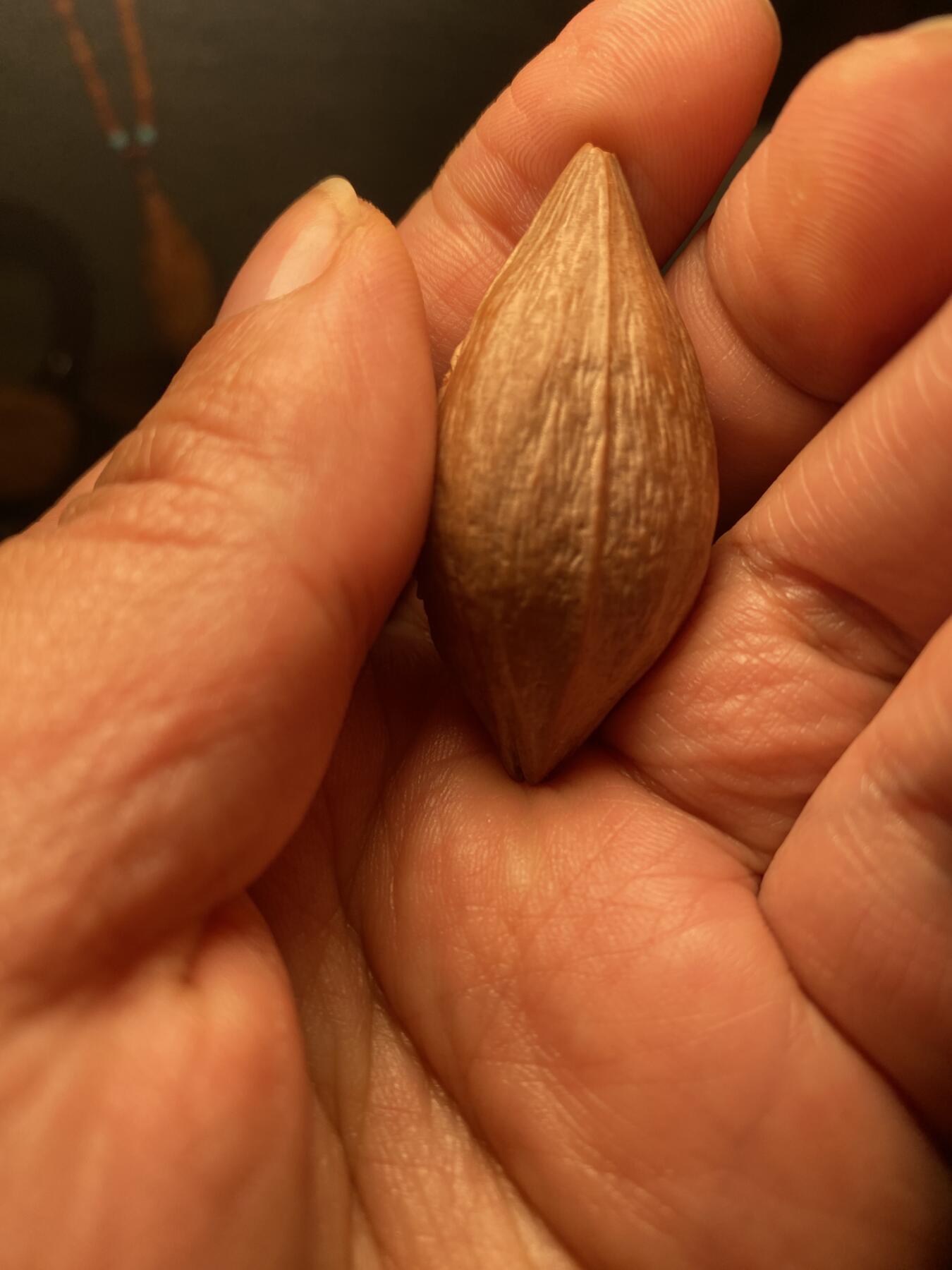 苏工名家王红秋个人作品展示 福利苏工核雕，纯手工雕刻，四花松鹤延年，个性十足，等待有缘人，市场无同款，尺寸2。2x4.7喜欢的来