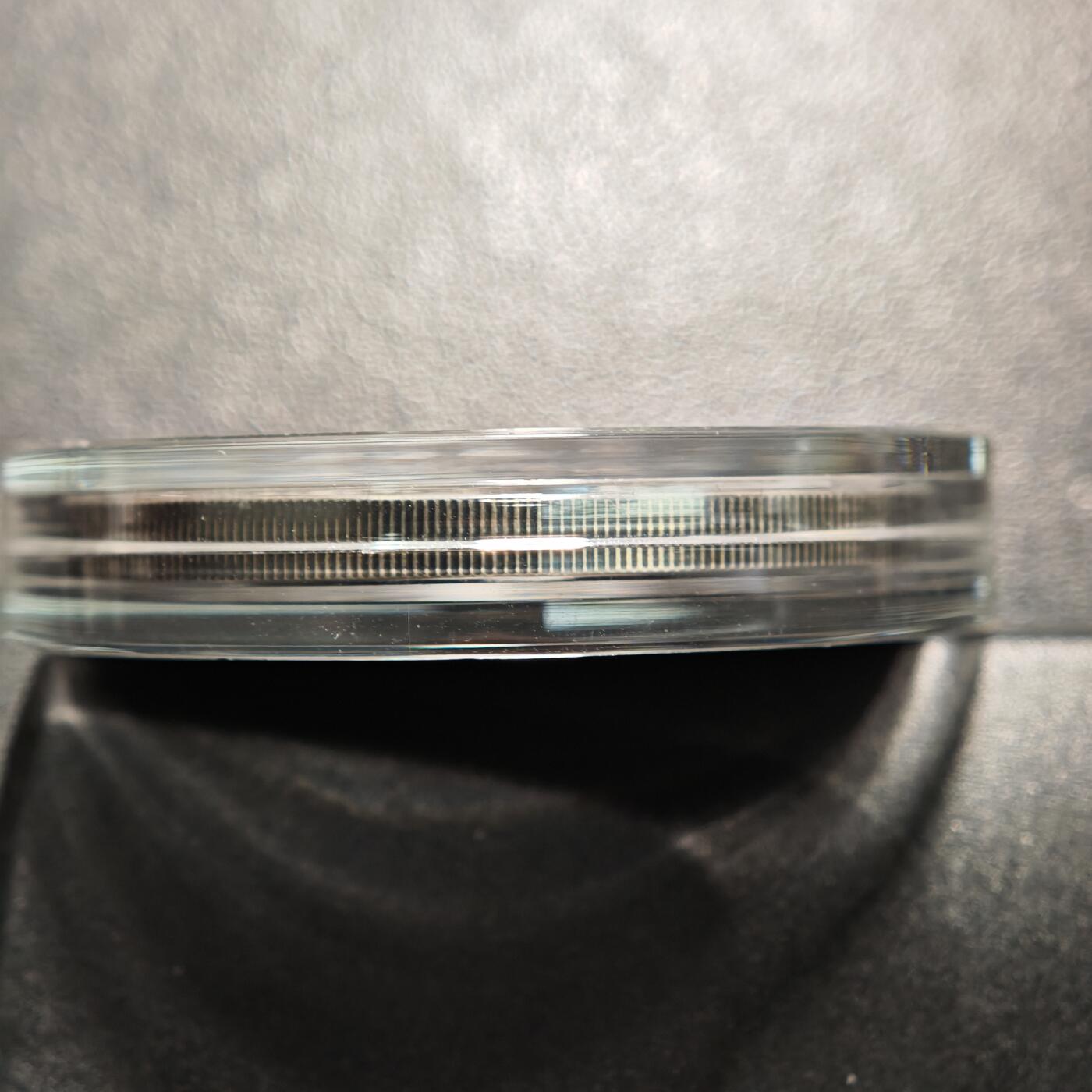 【德藏】世界币章拍卖第161期 2014年 白俄罗斯十二星座系列镶嵌施华洛世奇水晶20卢布仿古银币-天秤座 直径38.61mm；重28.28g，925银，原盒，立陶宛代铸