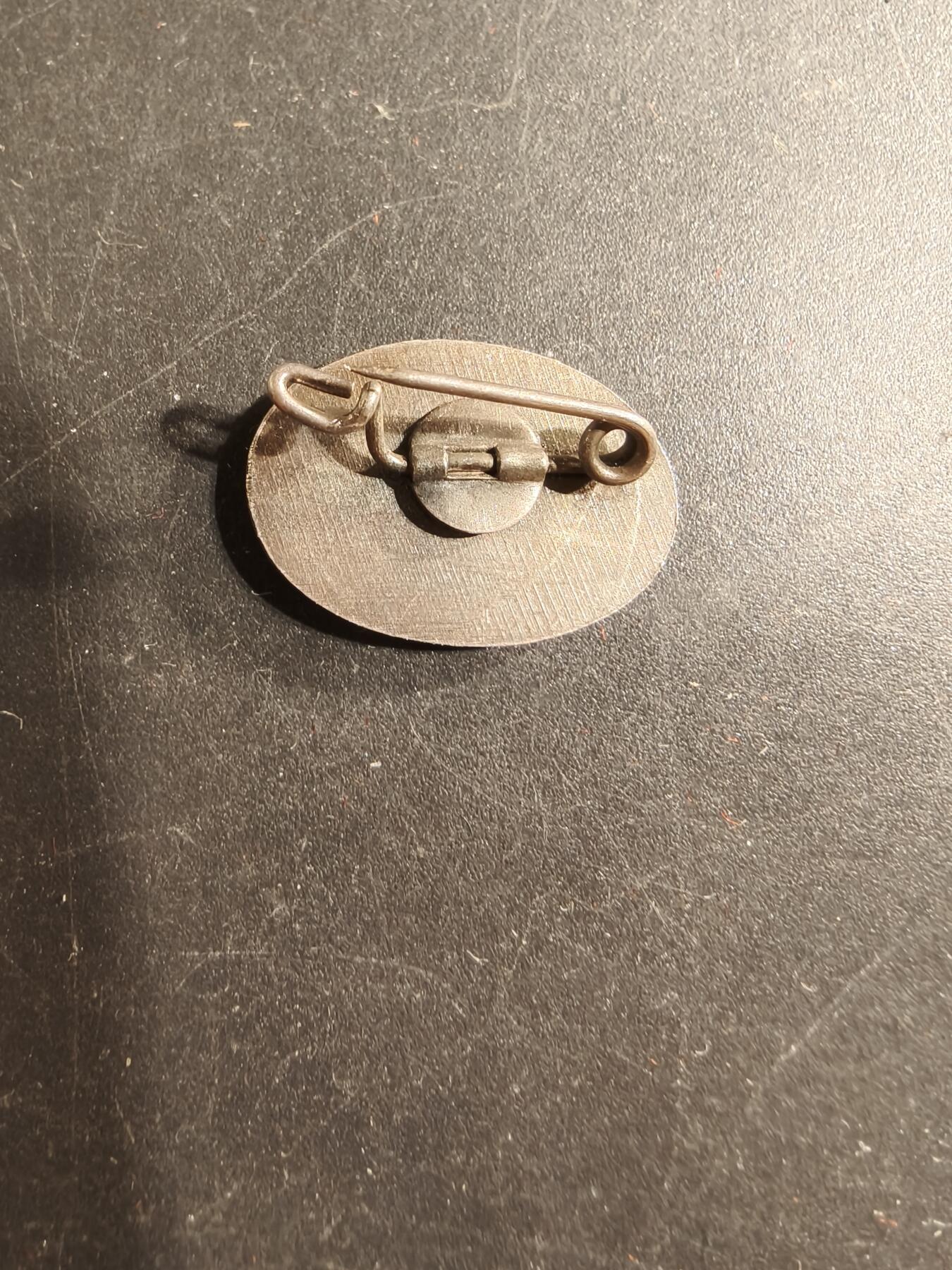 老王徽章第175期