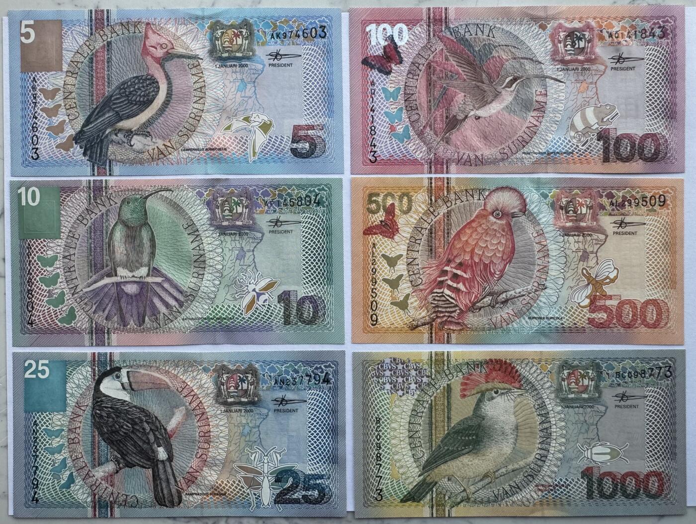 2026第1场（总第228期）：精品测试钞、外钞、塑料钞、连体钞综合场 苏里南鸟版5、10、25、100、500、1000元小全套6枚UNC