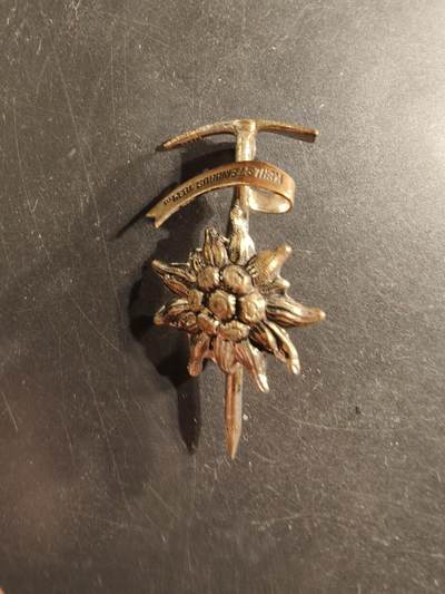 老王徽章第175期 - 德三山地师老兵协会证章