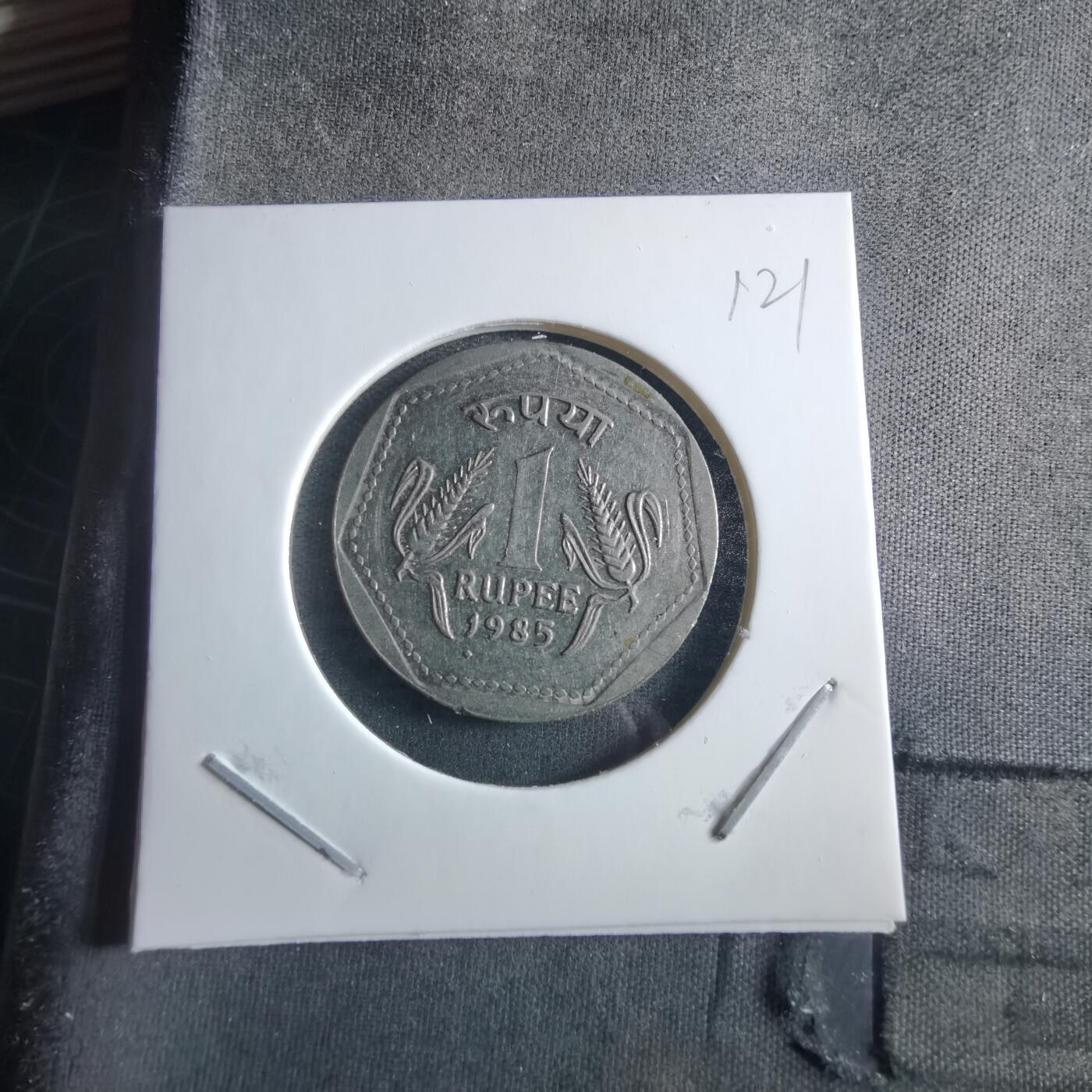 沼泽如烟--第955场